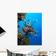 Lionfish Wall Mural