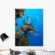 Lionfish Wall Mural