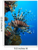 Lionfish Wall Mural