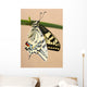 Swallowtail Wall Mural