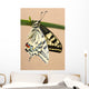 Swallowtail Wall Mural
