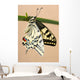 Swallowtail Wall Mural