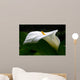 White Calla Profile Wall Decal