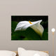 White Calla Profile Wall Decal