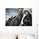 Cute Woman With Horse Wall Mural