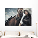 Cute Woman With Horse Wall Mural