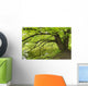 Tree growing over pond Wall Mural