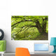 Tree growing over pond Wall Mural