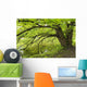 Tree growing over pond Wall Mural