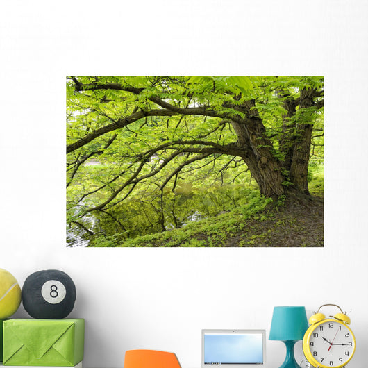 Tree growing over pond Wall Mural