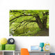 Tree growing over pond Wall Mural
