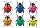 Coccinellex6