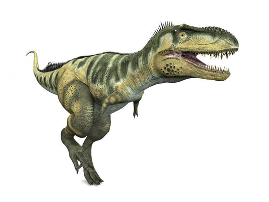 Dinosaurier Bistahieversor Wall Decal