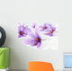 Close up of beautiful blue Saffron Crocus flowers Wall Mural