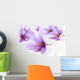 Close up of beautiful blue Saffron Crocus flowers Wall Mural