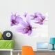Close up of beautiful blue Saffron Crocus flowers Wall Mural