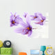 Close up of beautiful blue Saffron Crocus flowers Wall Mural