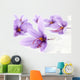 Close up of beautiful blue Saffron Crocus flowers Wall Mural