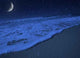 Moonlight Wall Decal Design 2