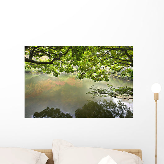 Reflection Pond Japanese Garden Wall Mural