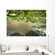 Reflection Pond Japanese Garden Wall Mural