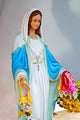 Virgin mary statue at Chantaburi province Wall Mural