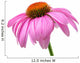 Purple Coneflower Purple Coneflower