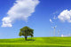 Windmill Green Field Wall Decal