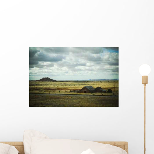 Texas Panhandle Wall Decal