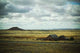 Texas Panhandle Wall Decal