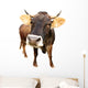 Cow Wall Decal