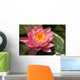 pink lotus flower Wall Mural