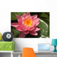 pink lotus flower Wall Mural