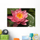 pink lotus flower Wall Mural