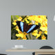 Butterfly Wall Mural