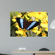 Butterfly Wall Mural
