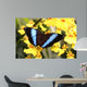 Butterfly Wall Mural