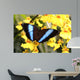Butterfly Wall Mural