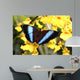 Butterfly Wall Mural