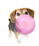 Cute Beagle Blowing Bubble Wall Mural