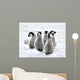 Emperor Penguin