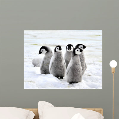 Emperor Penguin shown on a wall