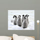 Emperor Penguin