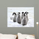 Emperor Penguin