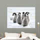 Emperor Penguin