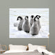Emperor Penguin