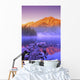 A Beautiful Lake, Jasper, Alberta, Canada Wall Mural