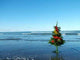 Christmas Beach Wall Decal