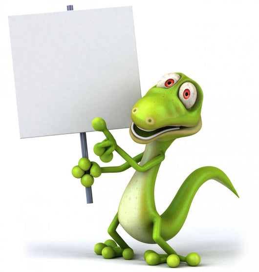 Lizard Wall Decal