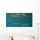Whale Shark Wall Mural